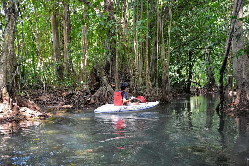 Krabi: Emerald Cool-Down & Kayak Odyssey in Din Daeng Canyon - Krabi’s “water park” feeling: fast paddling, real nature