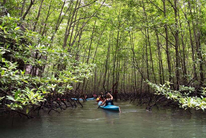 Krabi: Emerald Cool-Down & Kayak Odyssey in Din Daeng Canyon - Ao Thalane Pier lunch: Thai fuel with a calm shoreline break
