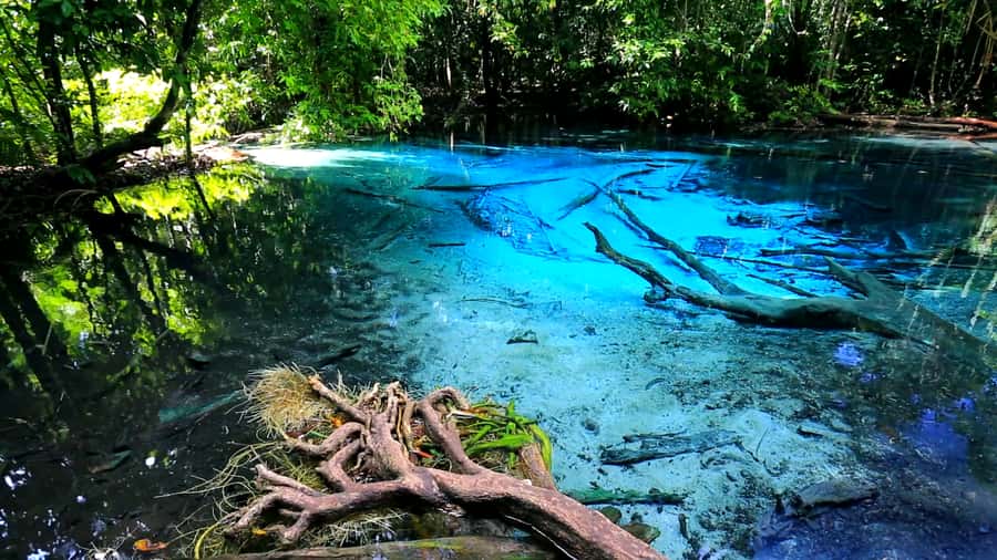 Krabi: Emerald Pool and Hot Spring Waterfall with ATV Riding - Key Points at a Glance