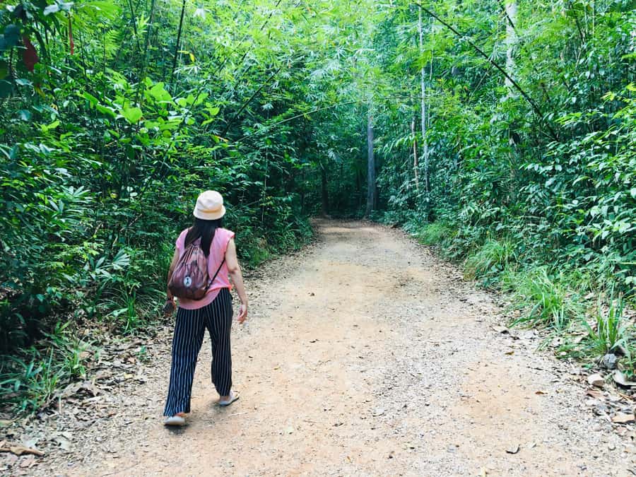Krabi: Emerald Pool and Hot Spring Waterfall with ATV Riding - The Emerald Pool in Khao Phra Bang Khram Nature Reserve