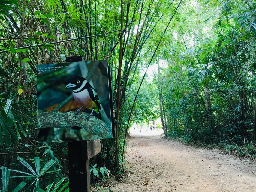 Krabi: Emerald Pool and Hot Spring Waterfall with ATV Riding - Price and Park Fees: What the $78 Actually Means on the Ground