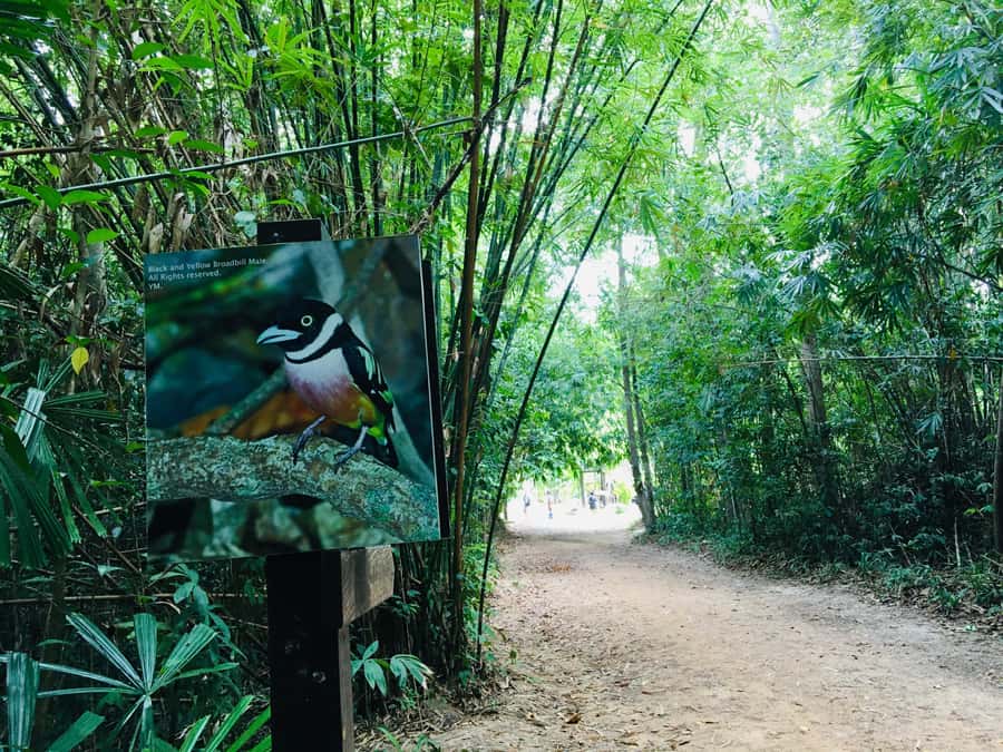 Krabi: Emerald Pool and Hot Spring Waterfall with ATV Riding - Facilities and Comfort: Know What to Expect Before You Care