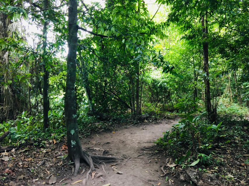 Krabi: Emerald Pool and Hot Springs Waterfall Half-Day Trip - Khao Phra Bang Khram Nature Reserve: The Guided Walk Part