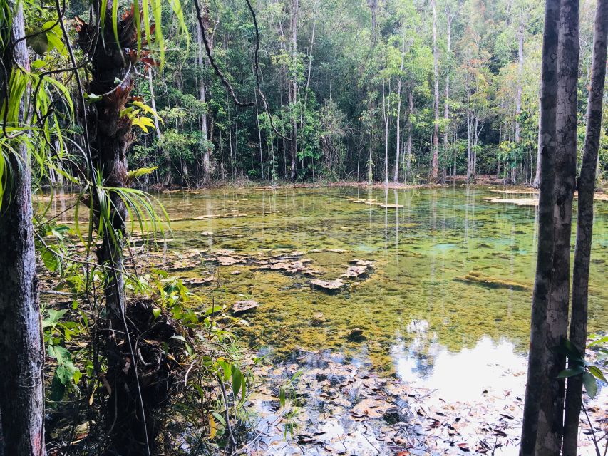 Krabi: Emerald Pool and Hot Springs Waterfall Half-Day Trip - Walking Among Older Trees: When You Should Slow Down