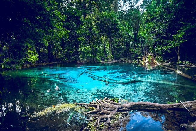 Krabi Emerald Pool, Hot Spring and Tiger Temple - Key highlights worth clocking before you go