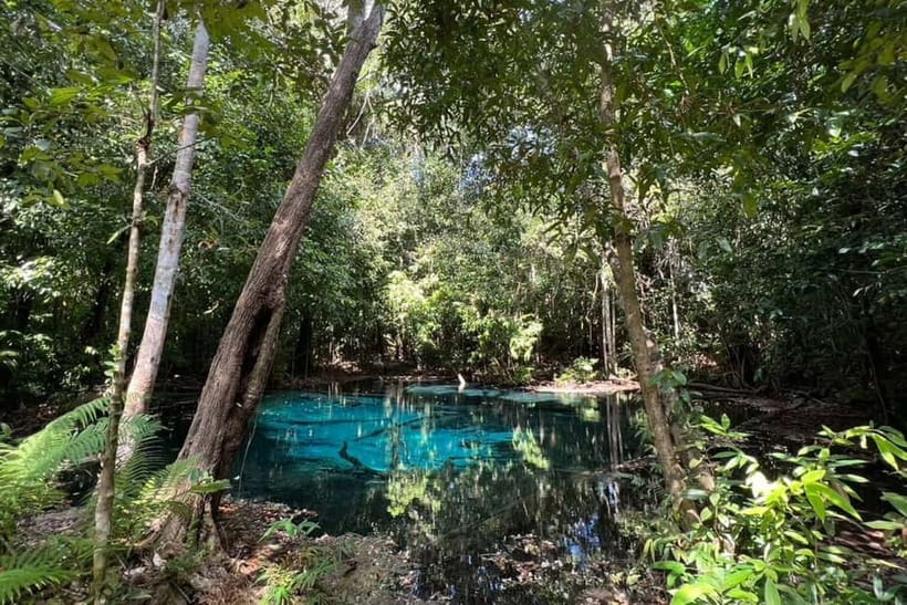 Krabi: Emerald Pool, Hot Springs, and Kayaking Tour - Small practical tips before you go