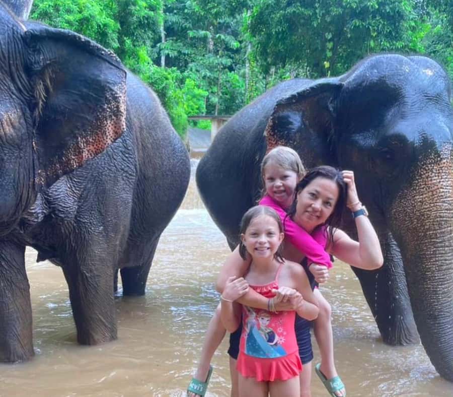 Krabi: Ethical Elephant Care Experience with Hotel Transfer - Who should book this, and who should think twice