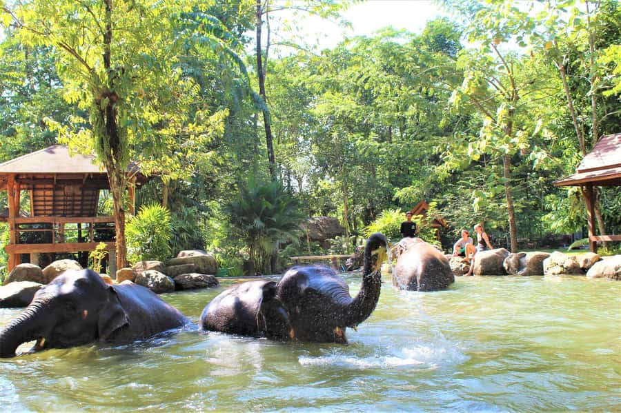 Krabi: Ethical Elephant Sanctuary Experience - Key highlights worth knowing