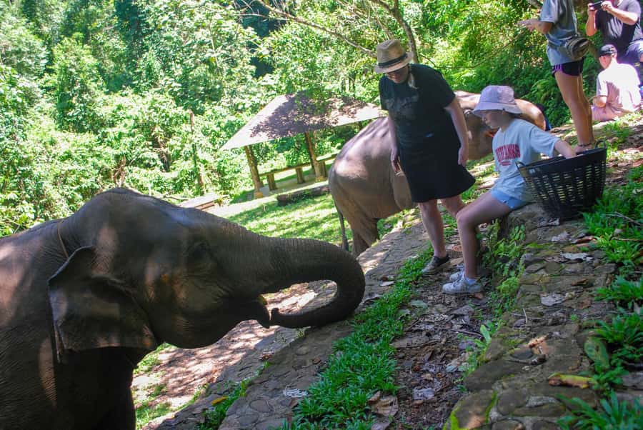 Krabi: Ethical Elephant Sanctuary Experience - The rock-pool bath: cooling off and the ethical question you should ask yourself