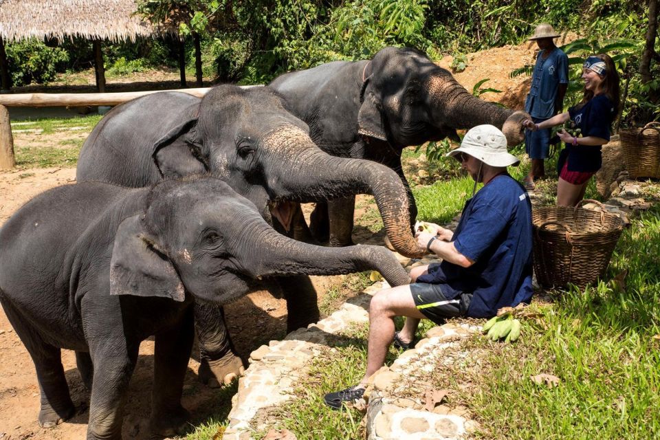 Krabi: Ethical Elephant Sanctuary Experience - Thai lunch, showers, and the time to reset and learn more