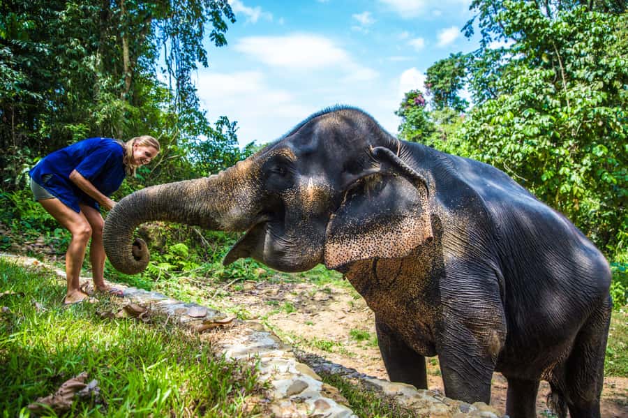 Krabi: Ethical Elephant Sanctuary Experience - Caretaker outfit, elephant health check, and daily life basics