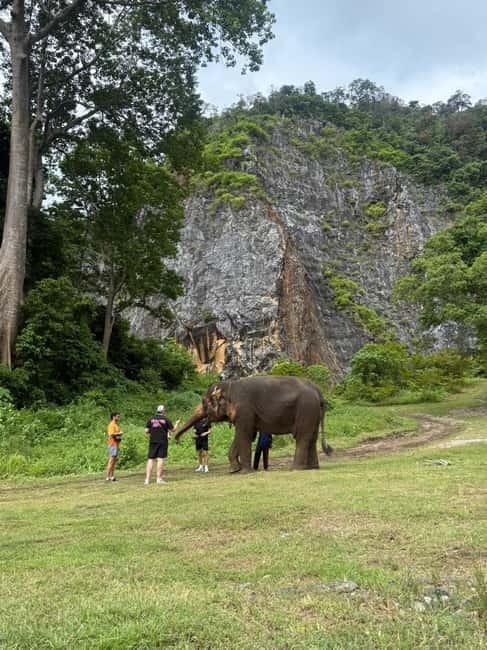 Krabi: Ethical Elephant Sanctuary & Tiger Cave Temple Tour - Hotel pickup, a simple start, and why that matters in Krabi