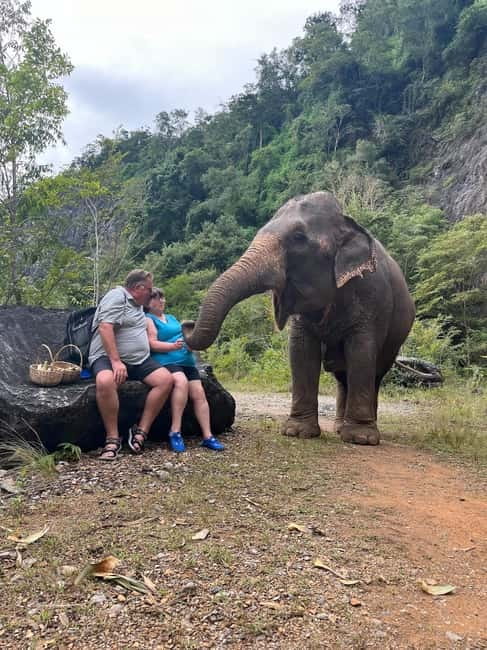 Krabi: Ethical Elephant Sanctuary & Tiger Cave Temple Tour - Tiger Cave Temple: 1,237 steps, 360° views, and cave exploration