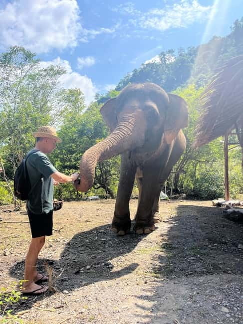 Krabi: Ethical Elephant Sanctuary & Tiger Cave Temple Tour - Who this Krabi tour suits best (and who should skip it)