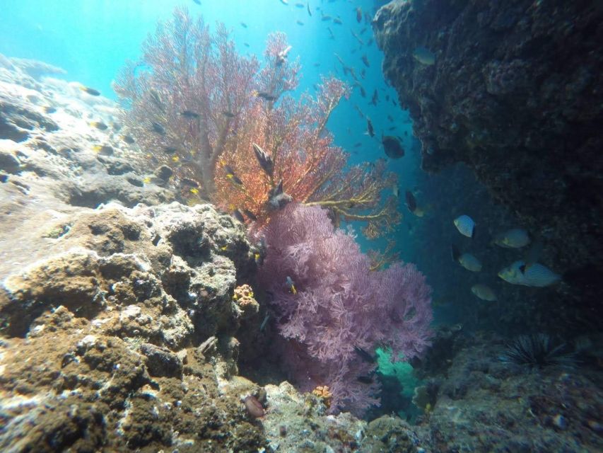 Krabi: Freediving and Snorkeling at Yawasam and Talu Island - The Return Trip Past Railay Peninsula: Boat Views Without the Crowds