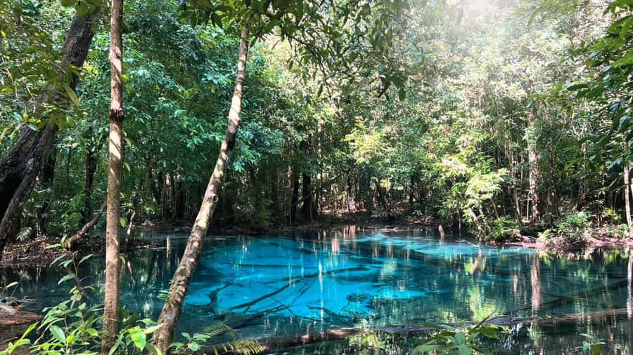 Krabi: Full-Day Car and Driver Charter - Emerald Pool: a calm start with guided context and photo breaks