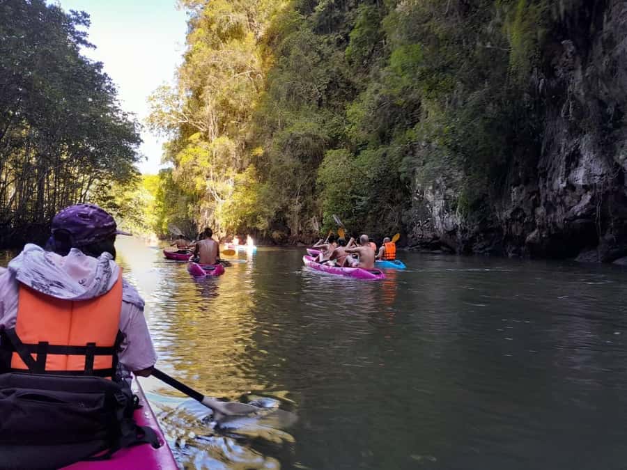 Krabi: Half-Day Kayak Adventure at Ao Thalane - What to bring for a better day in the mangroves