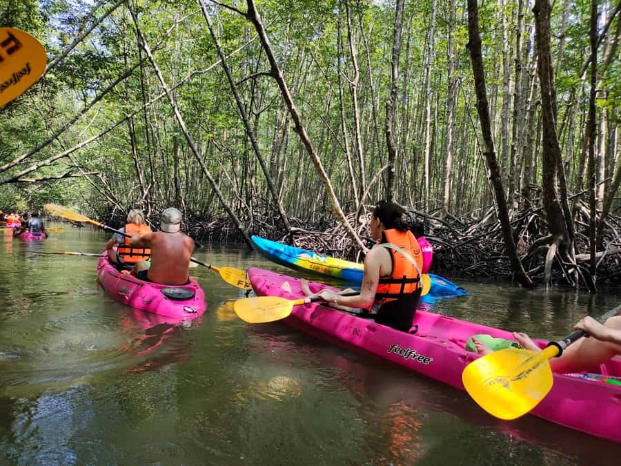 Krabi: Half-day Kayak at Ao Thalane (Group of 10 maximum) - Ao Thalane Kayak: Why This Half-Day Feels Special