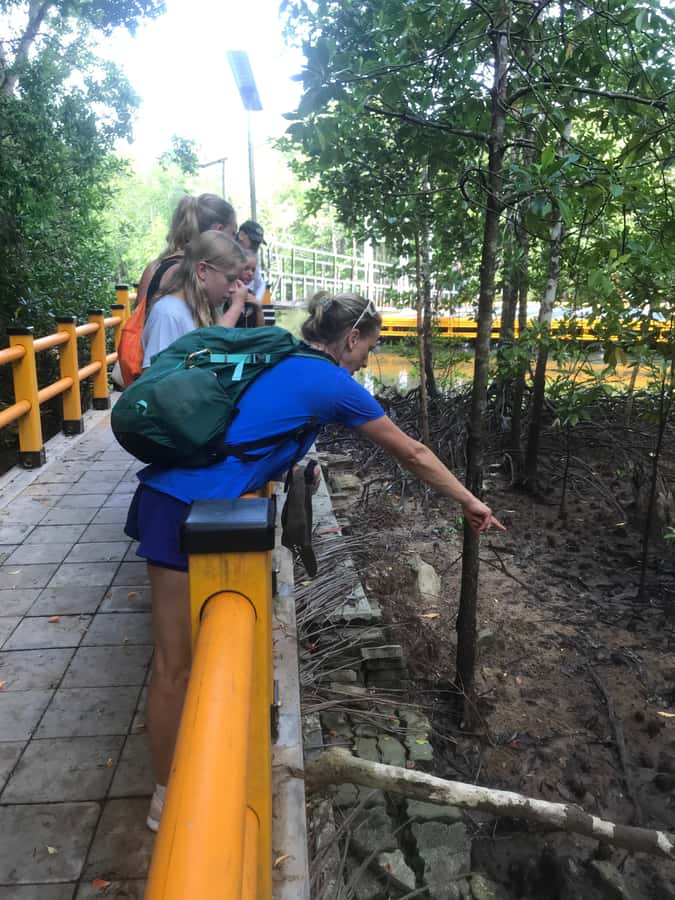 Krabi: Half-Day Mangrove Boat Trip And Khao Khanap Nam Cave - What the Guide Really Changes: English, Cave Stops, and Pace