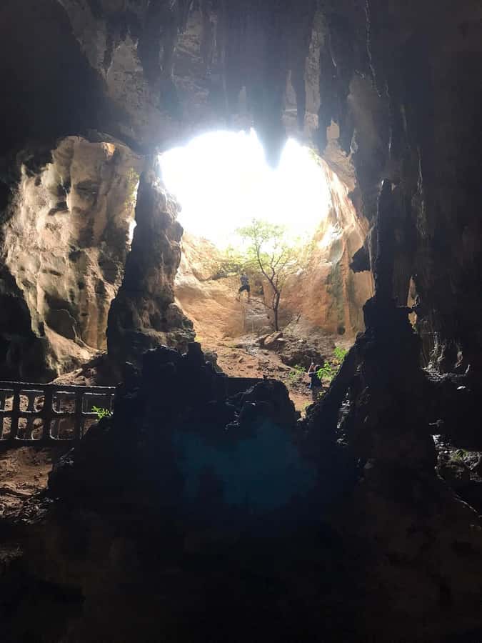 Krabi: Half-Day Mangrove Boat Trip And Khao Khanap Nam Cave - Black Crab Sculpture Pier Start: Where the Time Really Goes