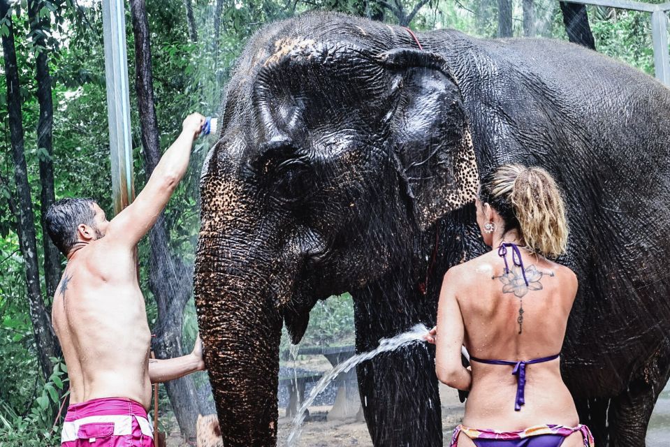 Krabi: Highlights Tour with Krabi Elephant Shelter - Key highlights you will actually care about