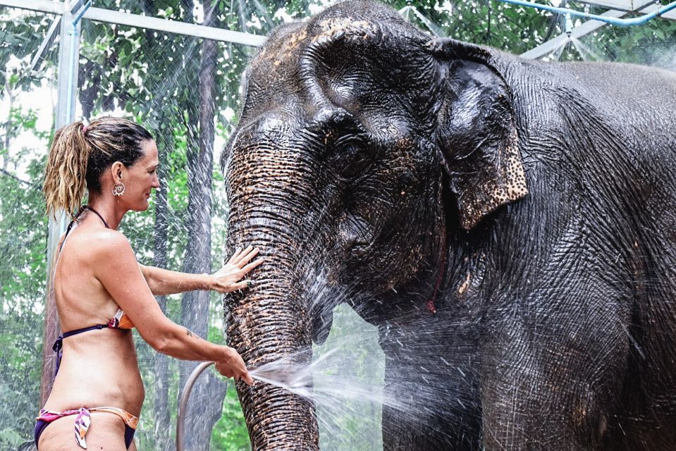 Krabi: Highlights Tour with Krabi Elephant Shelter - Mud bath, river bath, and shower bath: the full splash route