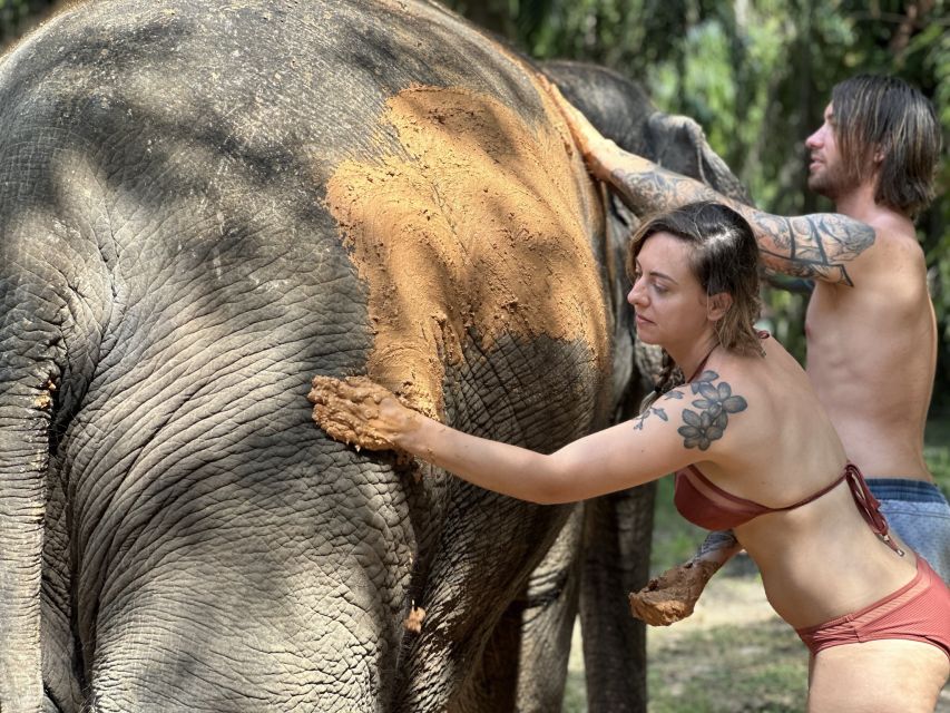 Krabi: Highlights Tour with Krabi Elephant Shelter - The elephant chef role: feeding time that feels personal