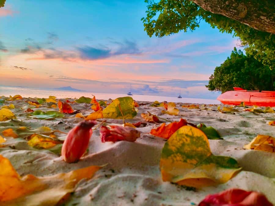 Krabi: Hong Islands Early Bird Tour with Breakfast - Key things to know before you go