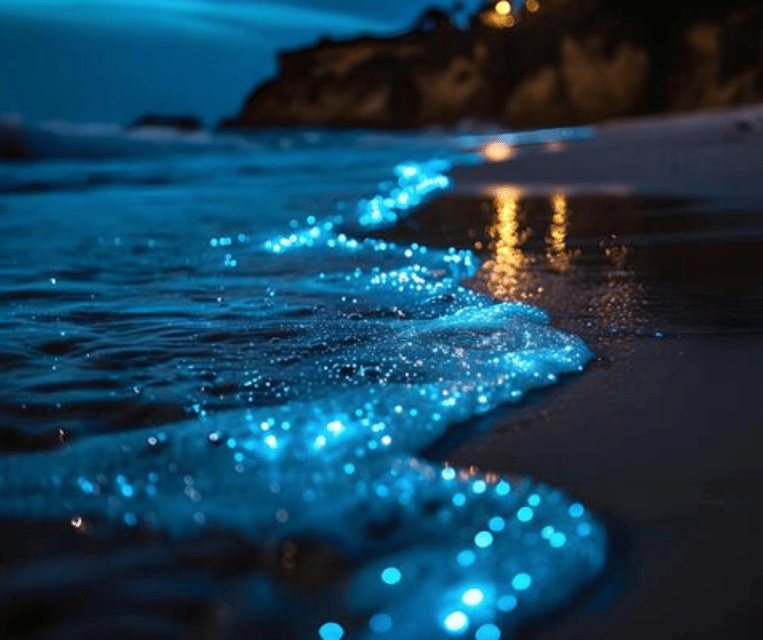 Krabi: Hong Islands Sunset, Bioluminescent Plankton and BBQ - Price and value: what $54 covers (and what costs extra)