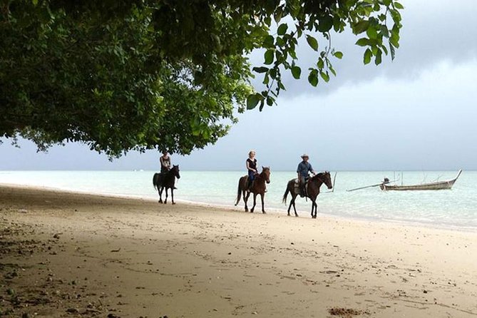 Krabi Horse Riding at The Beach - The route you’ll ride: beach time plus countryside views