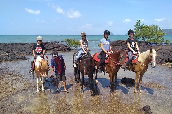 Krabi Horse Riding at The Beach - Optional horse swimming: the extra 1,500 THB decision