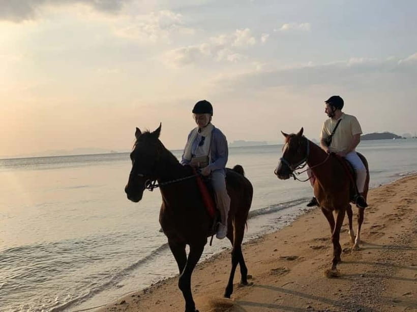 Krabi: Horse Riding On Klong Muang Beach - Horses and comfort: calm mounts and rider confidence