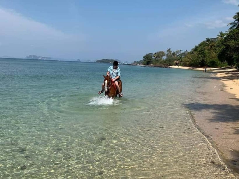 Krabi: Horse Riding On Klong Muang Beach - Price and what you actually get for $42