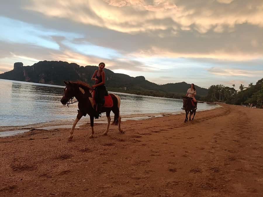 Krabi Horse Riding on the Beach and atv Extreme - Wildlife viewing: a small add-on that changes the vibe