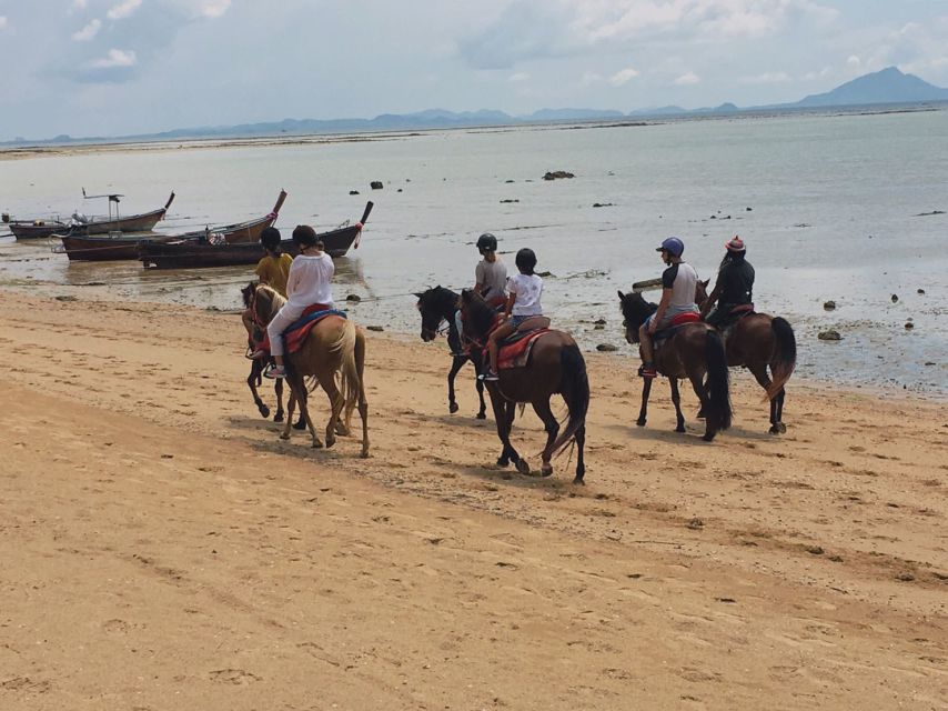 Krabi: Horseback Riding on the Beach - The fossil beach and shellfish tomb stop: unusual, short, and memorable