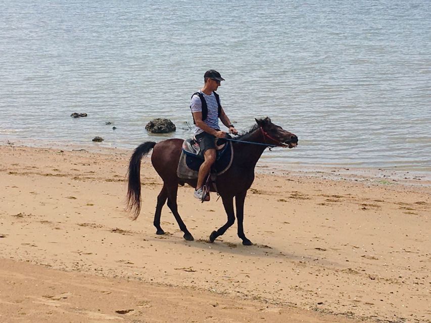 Krabi: Horseback Riding on the Beach - Price and value: what $62 buys you (and what it doesn’t)