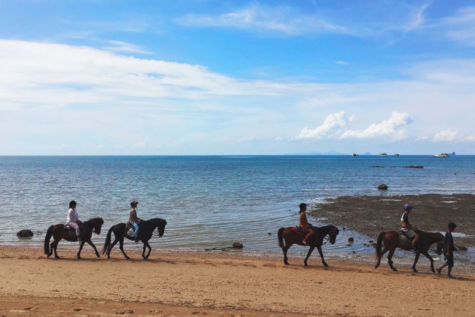 Krabi: Horseback Riding on the Beach - Comfort tips that actually matter on this ride