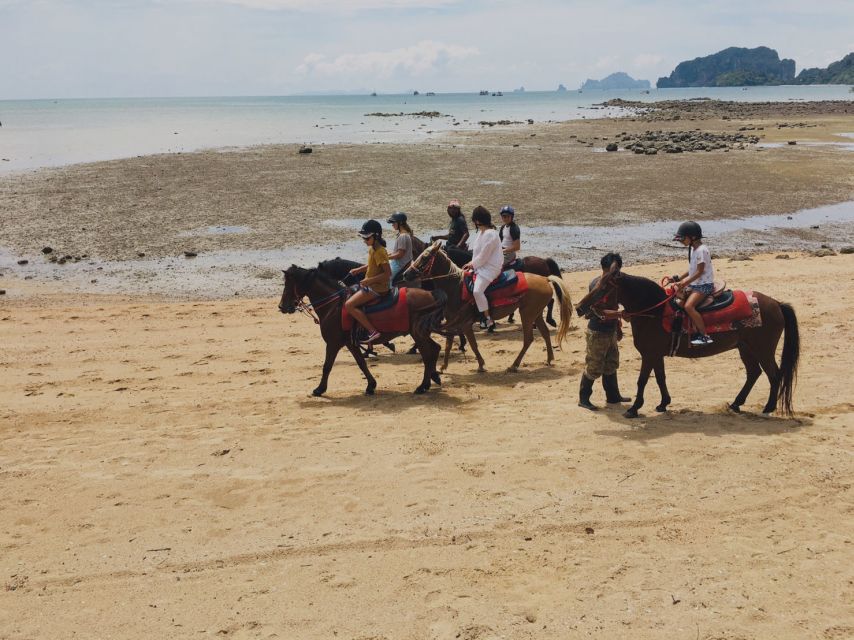 Krabi: Horseback Riding on the Beach - Who should book this horseback ride in Krabi?