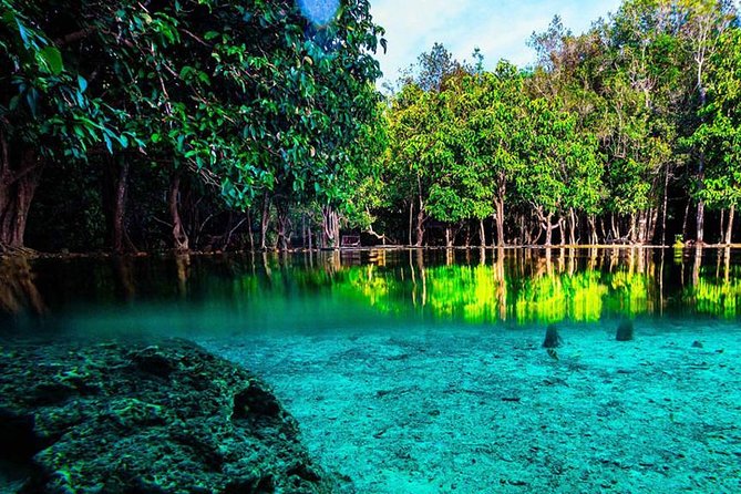 Krabi Jungle Tour with ATV Riding - Saithai Mountain ATV Adventure: what the ride really feels like