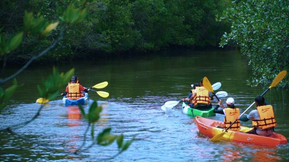 Krabi: Kayak in Mangrove Forest with Meal Aonang - Key Things I’d Target Before Booking