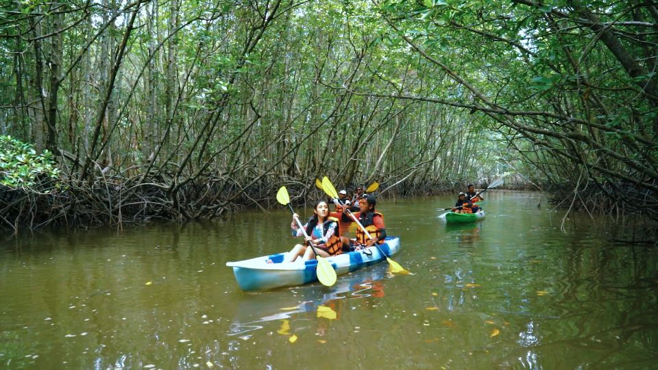 Krabi: Kayak in Mangrove Forest with Meal Aonang - Paddling Through Mangroves, Limestone Karsts, and Animal-Spotting Stops