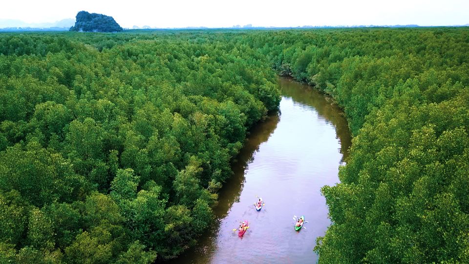 Krabi: Kayak in Mangrove Forest with Meal Aonang - Effort Level: Workout, Peace, and the Return Paddle Reality
