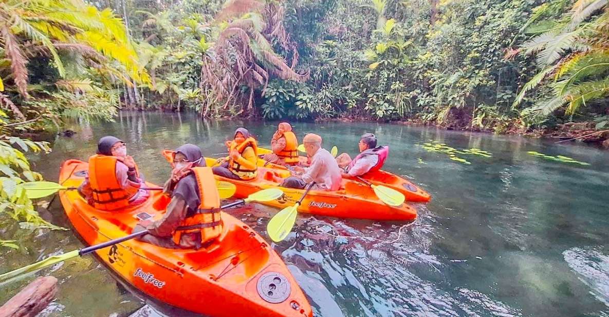 Krabi kayaking and swimming clongrood Tour - Klong Root Canal: what makes the kayaking feel special