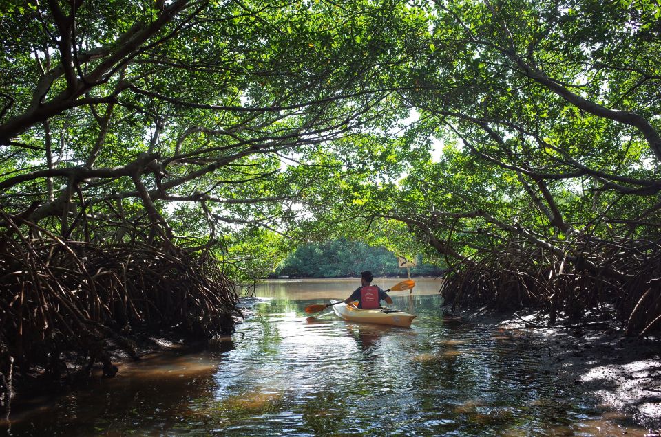 Krabi kayaking Ao thalane - On the Water in Ao Tha Len: Kayaking Through Mangrove Tunnels