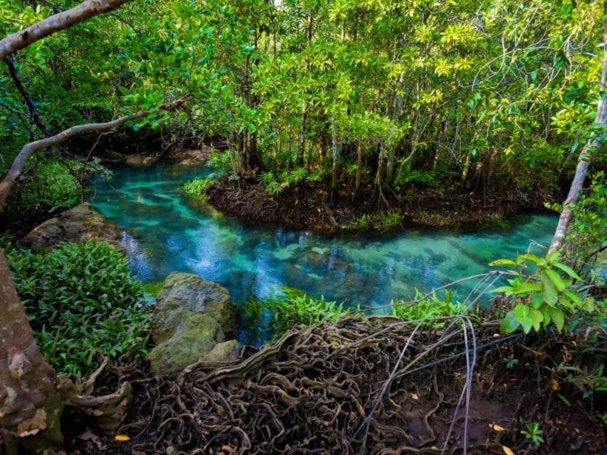 Krabi: Kayaking, Crystal Lagoon, and Fish Spa in Klong Root - Who should book this tour, and who should skip it