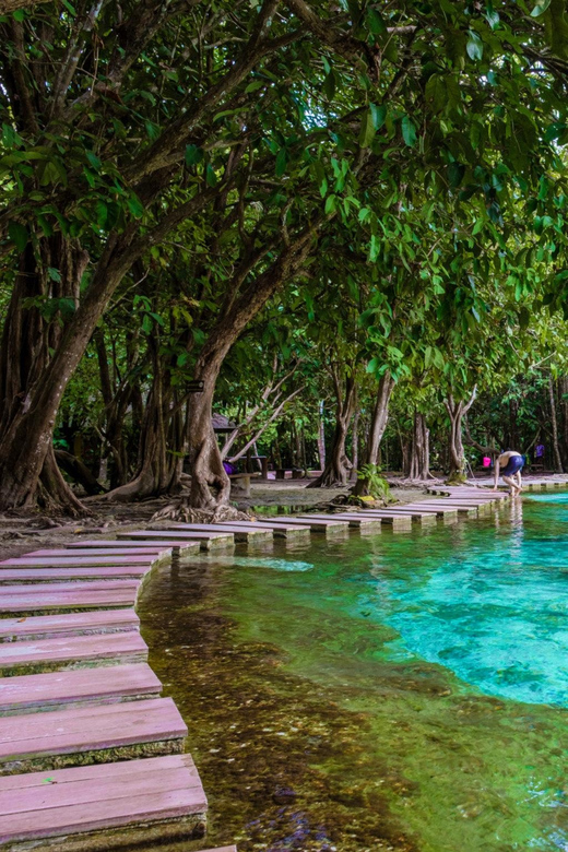 Krabi: Kayaking, Crystal Lagoon, and Fish Spa in Klong Root - Kayaking in Klong Root: why the water quality is the main event