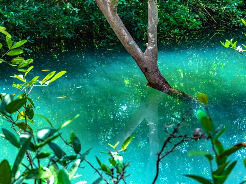 Krabi: Kayaking, Crystal Lagoon, and Fish Spa in Klong Root - Price and value: is $38 + 50 Baht worth it?