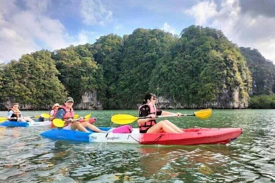 Krabi: Kayaking in Ao Thalane Bay Beautiful Mangrove Forest - Mangrove forest details: roots, wildlife chances, and respectful spotting