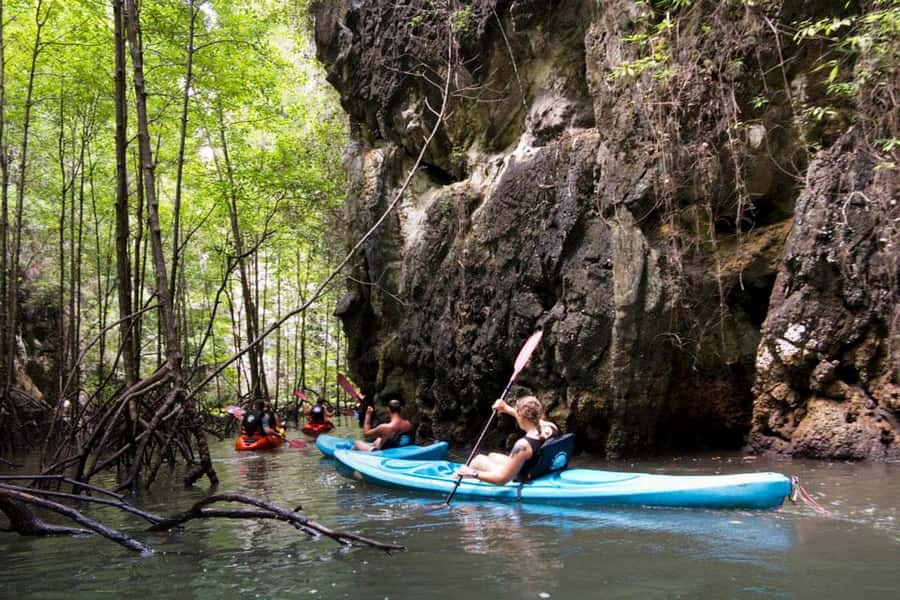Krabi: Kayaking in Ao Thalane Bay Beautiful Mangrove Forest - How fit do you need to be? distance, wind, countercurrents, and sand
