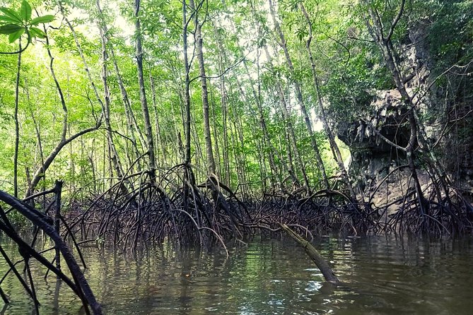 Krabi: Kayaking Tour at Ban Bor Thor Ancient Cave & Mangroves - The half-day plan: timing, transfers, and how the day flows